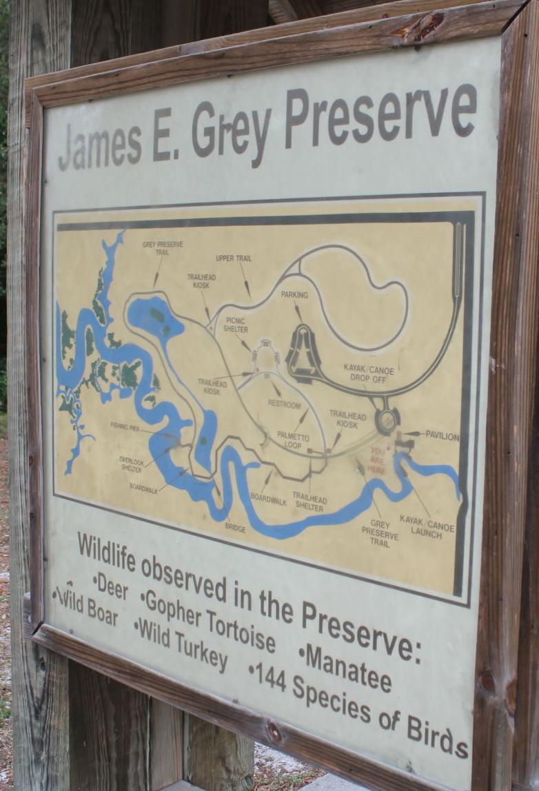 PA0724greydogs2.JPG